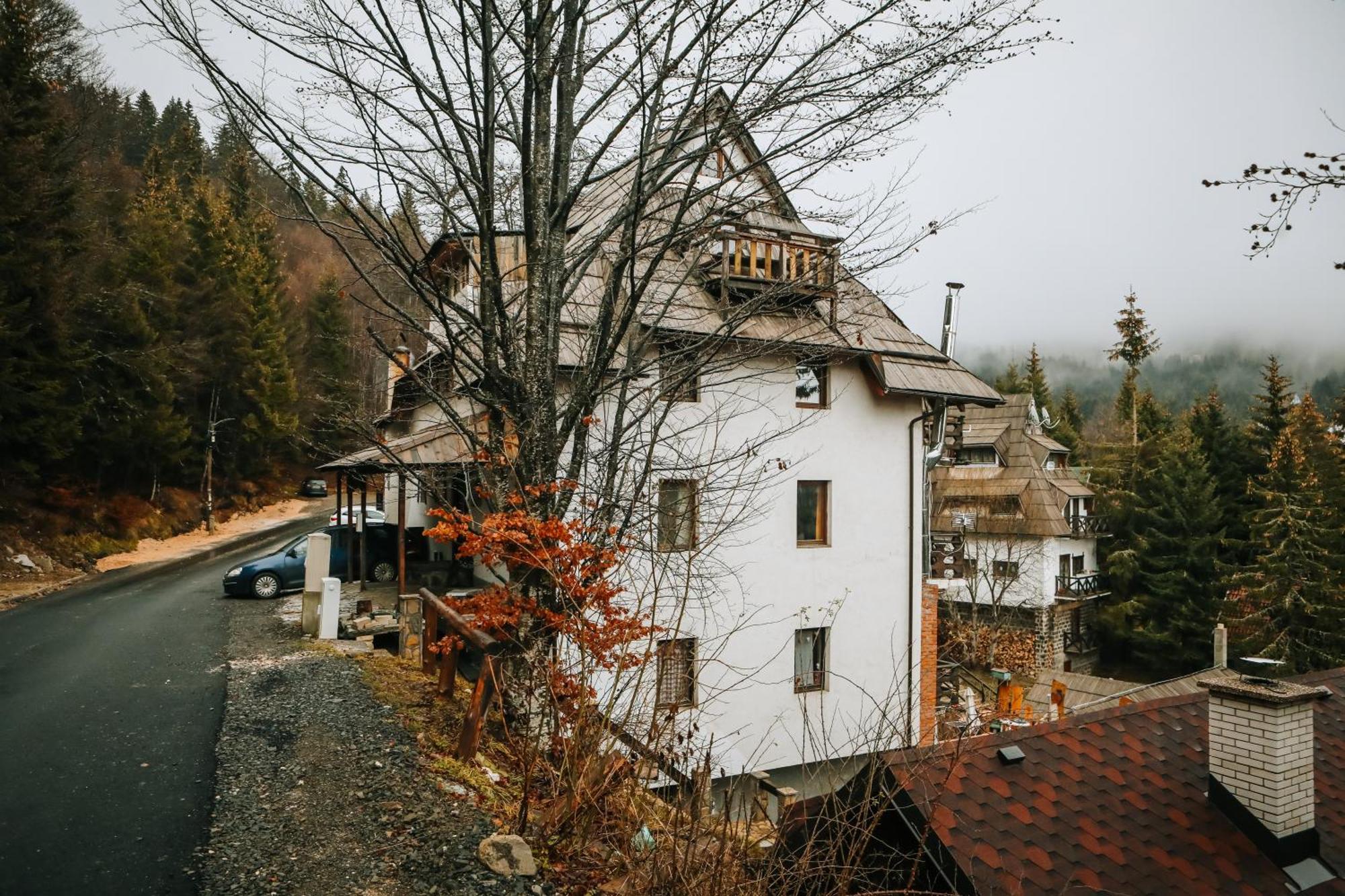 Apartments Dviletov Kutak Kopaonik Exterior foto